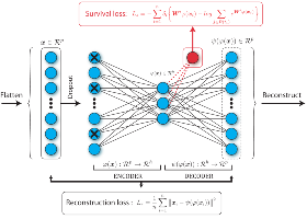 4Dsurvival: Deep learning cardiac motion analysis for human